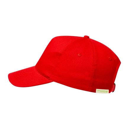 Rebicap baseball cap (AP733936-01)