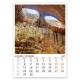 051918 Многолистен календар СКАЛНИ ФЕНОМЕНИ – БЪЛГАРИЯ 2027