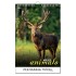 Multi-page calendar THE WORLD OF ANIMALS 2027 051919