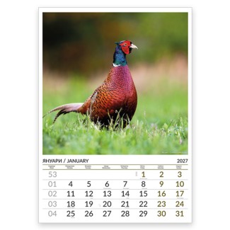 Multi-page calendar THE WORLD OF ANIMALS 2027 051919