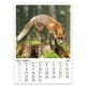 Multi-page calendar THE WORLD OF ANIMALS 2027 051919 Multi-page calendar THE WORLD OF ANIMALS 2027 051919