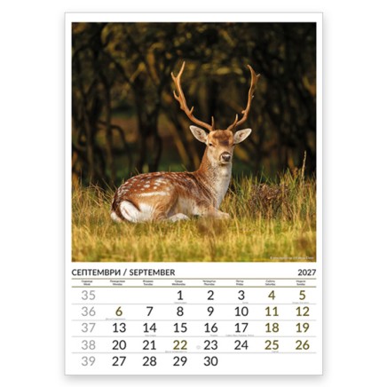 Multi-page calendar THE WORLD OF ANIMALS 2027 051919 Multi-page calendar THE WORLD OF ANIMALS 2027 051919