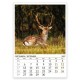 Multi-page calendar THE WORLD OF ANIMALS 2027 051919 Multi-page calendar THE WORLD OF ANIMALS 2027 051919