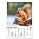 Multi-page calendar THE WORLD OF ANIMALS 2027 051919 Multi-page calendar THE WORLD OF ANIMALS 2027 051919