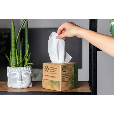 Cutie cu servetele - 0492