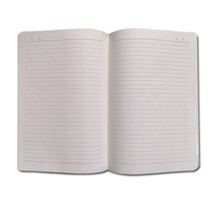 1016CAPR-02 БЕЛЕЖНИК CAPRIS B5 без дати