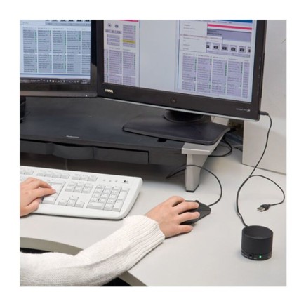 Bluetooth speaker with radio Hawick - 336903