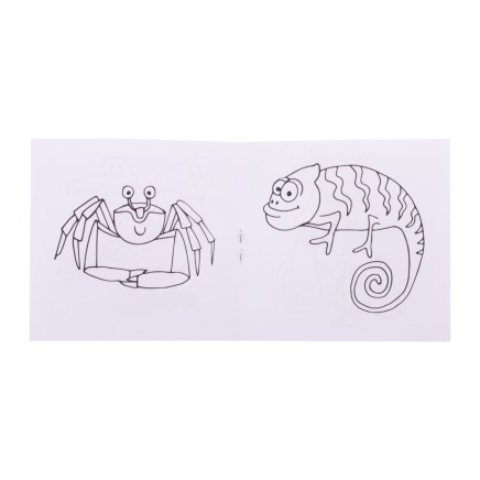 Персонализиран комплект за оцветяване Coloxil 12, животни - AP716554-A