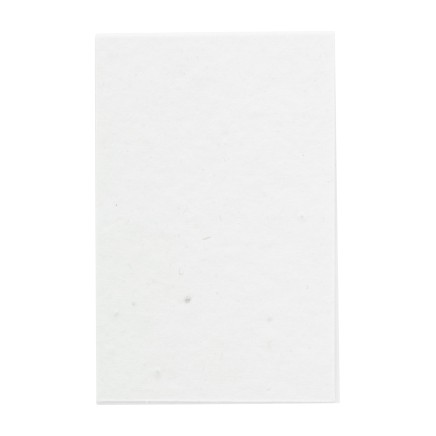 CreaStick Seed Combo B custom sticky notepad (AP716813)