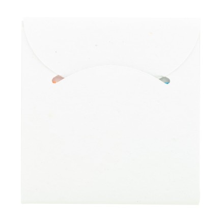 CreaStick Seed Combo C custom sticky notepad (AP716814)