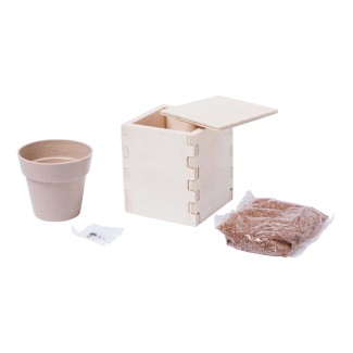 Merin mint herb pot - AP721179 Merin mint herb pot - AP721179