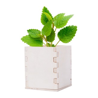 Merin mint herb pot - AP721179 Merin mint herb pot - AP721179