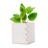 Merin mint herb pot - AP721179