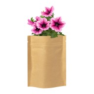 Sober flower planting kit - AP721479-00