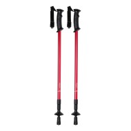 Brulen nordic walking sticks - AP721481-05