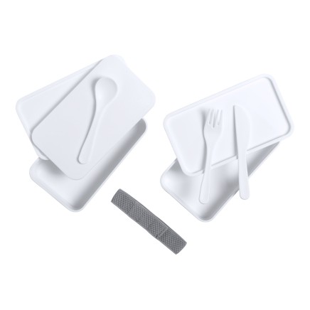 Fandex antibacterial lunch box - AP721817-01