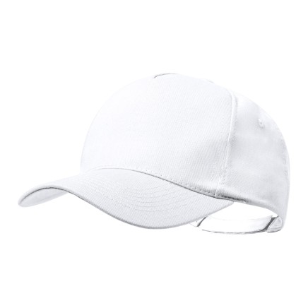 Pickot baseball cap - AP722095-01
