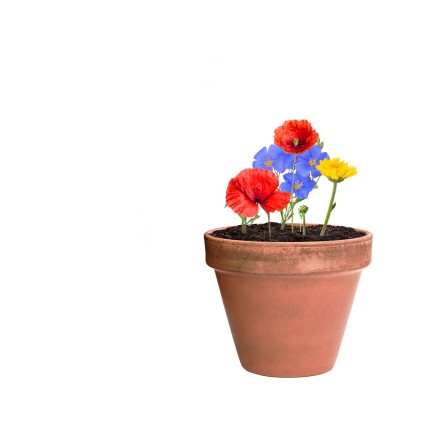 Mussox seed ball - AP722388