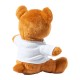 Sincler teddy bear - AP722668-09