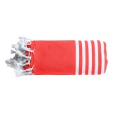 Vedant beach towel - AP722838-05