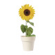 Tumil flower pot - AP722844