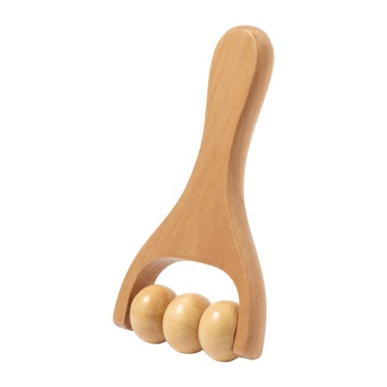 Echem massager (AP733676)