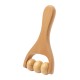 Echem massager (AP733676)