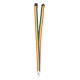 Mapik rainbow lanyard (AP734029)