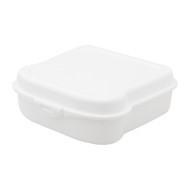 Noix lunch box - AP741293-01