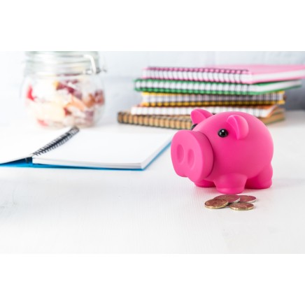 Donax piggy bank - AP741698-25 Donax piggy bank - AP741698-25