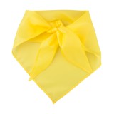 Capra шал - AP761999-02