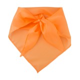 Capra шал - AP761999-03