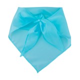 Capra шал - AP761999-06V