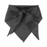 Capra шал - AP761999-10