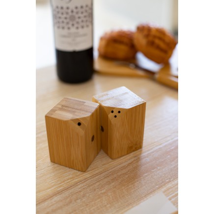 Kerala salt and pepper shaker set - AP800476