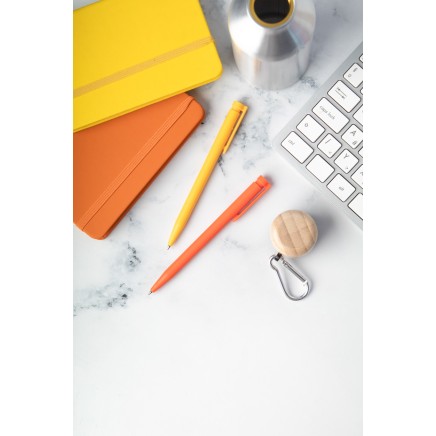 Raguar RABS ballpoint pen (AP808089-03)