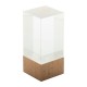 Polofi trophy (AP808550)