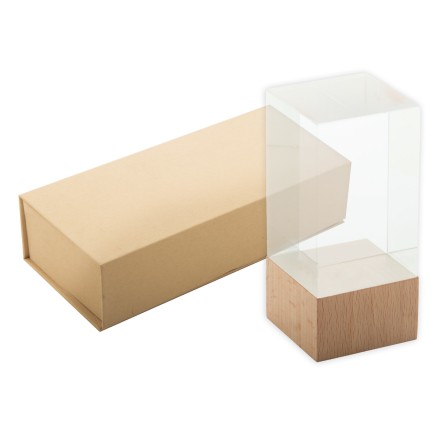 Polofi trophy (AP808550) Polofi trophy (AP808550)