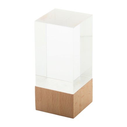 Polofi trophy (AP808550)