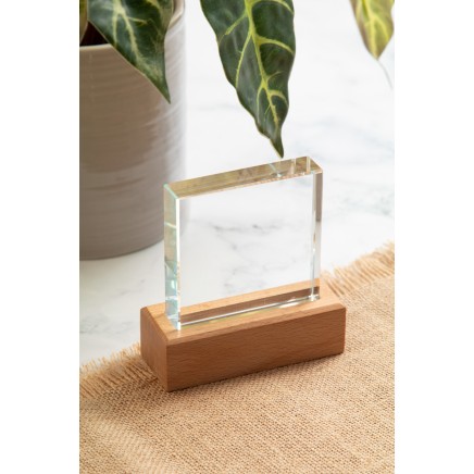 Rectofi trophy (AP808551) Rectofi trophy (AP808551)