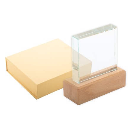 Rectofi trophy (AP808551) Rectofi trophy (AP808551)