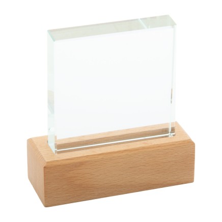 Rectofi trophy (AP808551)