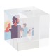 Tampa glass cube (AP808806)