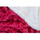 Foglio RPET blanket (AP861009-08)